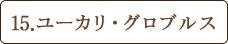 15.ユーカリ・グロブルス